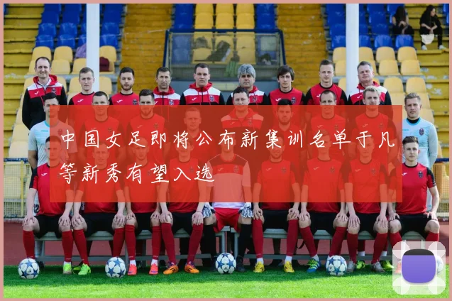 中国女足即将公布新集训名单于凡等新秀有望入选