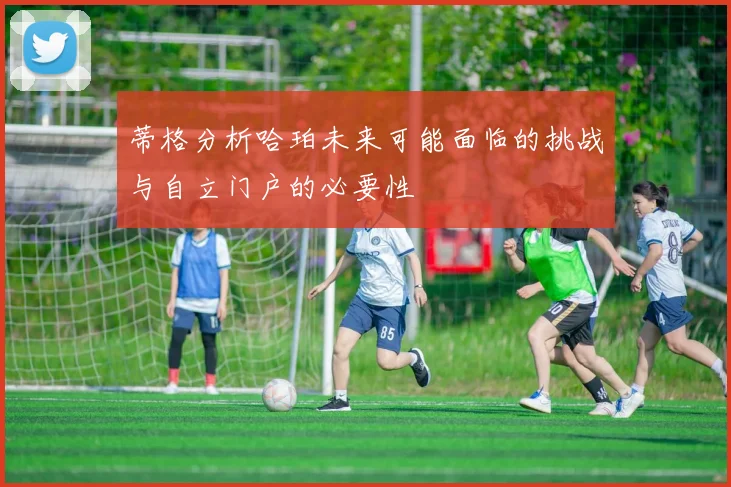 蒂格分析哈珀未来可能面临的挑战与自立门户的必要性